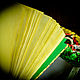 The Grimoire in the Whisper box'. Grimoire. Ангелина Волкова. My Livemaster. Фото №4