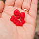 Order Mini berries. Romanycheva Natalia. Livemaster. . Clay Фото №3