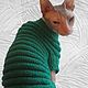 Sweater 'Caterpillar' :) the color is different. Pet clothes. anyapetrova05. Online shopping on My Livemaster.  Фото №2