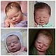 Расхомячка молдов реборн Realborn, Заготовки для кукол и игрушек, Минск,  Фото №1