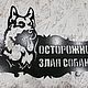 Табличка "Осторожно злая собака", Аксессуары для питомцев, Оренбург,  Фото №1