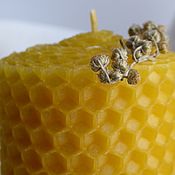 Мед: Перга пчелиная с мёдом (цена за 100 грамм)