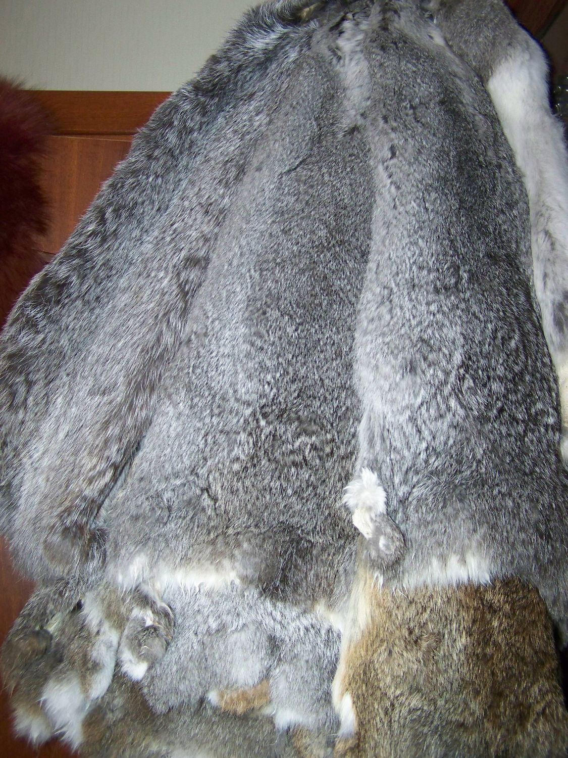 кролик