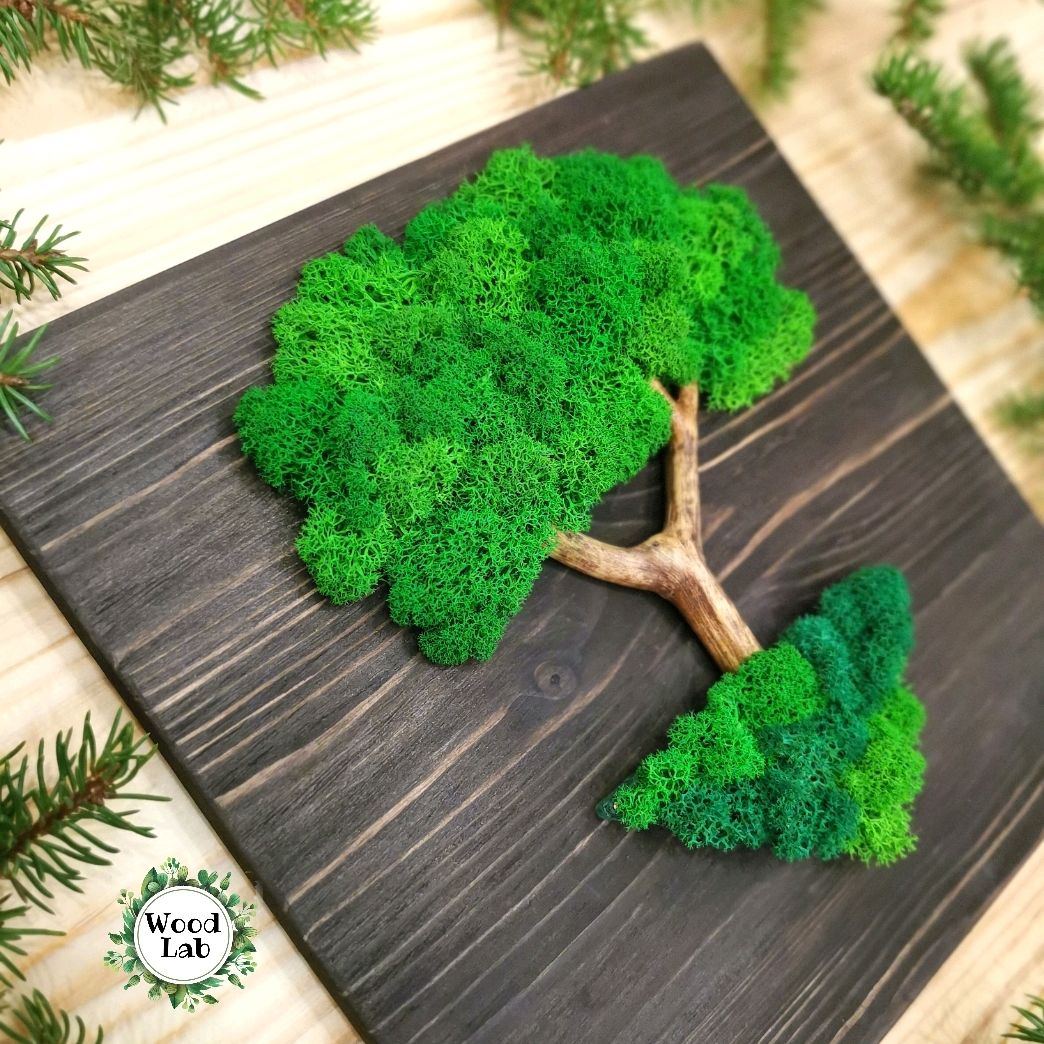 Картины из мха дерево