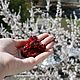 Брошь Скорпион. Брошь-булавка. Алиса Wonderland (AliseWonderland). Ярмарка Мастеров.  Фото №6