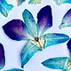 Сине-голубые цветы орхидеи. Материалы для флористики. Сухоцветы для творчества. Интернет-магазин Ярмарка Мастеров.  Фото №2