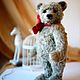  Ben. Teddy Bears. Milaniya Dolls (milaniyadolls). My Livemaster. Фото №5