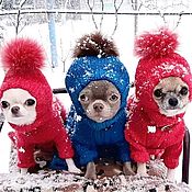 Зимняя шапка для собак мелких пород