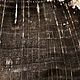 Срез древнего окаменелого дуба. Минералы. Paleoflora. Интернет-магазин Ярмарка Мастеров.  Фото №2