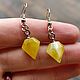 Amber earrings, amber earrings, natural amber earrings, Earrings, Kaliningrad,  Фото №1