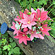 Order Soap bouquet in a tin watering can Lilies. Soap-making workshop. Livemaster. . Soap Фото №3