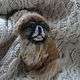 Felted portrait brooch Pekingese. Brooches. Mnekonki Patsorki (patsorki). Online shopping on My Livemaster.  Фото №2