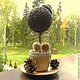 Кофейный топиарий. Помпоны. Топиарии. Елена (coffeedream). Интернет-магазин Ярмарка Мастеров.  Фото №2