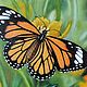 Картина с бабочкой Монарх, Картины, Тобольск,  Фото №1