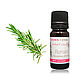 Rosemary CO2 extract (Romarin Aroma zone), Components for cosmetics, Moscow,  Фото №1
