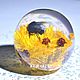 Glass sphere "Bumblebee". Gifts for March 8. Author's glass Kurakinykh. Online shopping on My Livemaster.  Фото №2