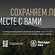 Подставка для телефона из дерева. Беспроводная зарядка. Гаджеты. Подарки. Органайзеры. Courage.gift. Ярмарка Мастеров.  Фото №6