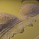Комплекты белья браллет и трусики-слипы. Комплекты белья. NIRGUSAMA Lingerie. Интернет-магазин Ярмарка Мастеров.  Фото №2