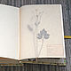Album for a herbarium Sunny day (A4, 25 plants). Photo albums. Albums and notebooks (Anna). My Livemaster. Фото №6