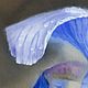 Oil painting on canvas "Iris flower after rain №3". Pictures. Artist Iuliia Kravchenko (realism-painting). My Livemaster. Фото №5