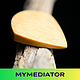 The mediator from the wood of Hornbeam: Jazzwood, Guitar picks, Zhukovsky,  Фото №1