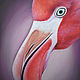 Flamingo, Картины, Москва,  Фото №1
