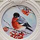 Order A picture with bullfinch birds, a bluebird on a rowan twig A picture in a frame. kartina-sochi. Livemaster. . Pictures Фото №3