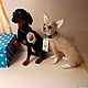 той терьер из шерсти. Игрушки. wool animals. Интернет-магазин Ярмарка Мастеров.  Фото №2