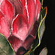  Proteus Flower. Original. Pastel. Pictures. Valeria Akulova ART. My Livemaster. Фото №6