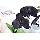 Orchid black blooming phalaenopsis in pots decorative not alive. Flowers. Именные сувениры и деревянная упаковка. My Livemaster. Фото №4