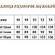 Рубаха небеленая с отделкой тесьмой и с коротким рукавом. Рубашки мужские. Славянские узоры. Ярмарка Мастеров.  Фото №4