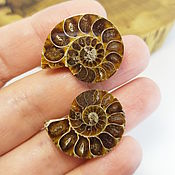 Материалы для творчества handmade. Livemaster - original item A pair of Ammonite cabochons (75013865). Handmade.