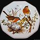 Decorative plates 'Songbirds of Germany', Arabella, Herm. Vintage interior. Mir Stariny. Online shopping on My Livemaster.  Фото №2