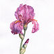 Розовый бородатый ирис. Картины. Галина (mirrawatercolor). Интернет-магазин Ярмарка Мастеров.  Фото №2