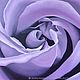 Картина маслом Фиолетовая роза Натюрморт Картина с розами в подарок, Картины, Москва,  Фото №1