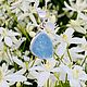 Pendant with opal ' Blue light ' to buy. Pendant. luxuryclub. My Livemaster. Фото №6