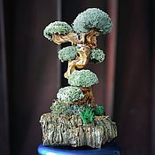 Декоративное дерево с цетрарией