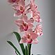 Cymbidium.Orchid.Polymer clay.Orchid realistic copy.Flora, Flowers, Vologda,  Фото №1