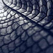 Картины и панно ручной работы. Ярмарка Мастеров - ручная работа Фотокартина «Искажение пространства». Handmade.