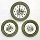 Porcelain painting Clock and plates on the wall Succulents, Plates, Kazan,  Фото №1