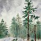 Картины: Зимний сосновый лес