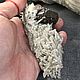 Пирит на кварце 300гр. Друза. Друза. Seven Minerals. Ярмарка Мастеров.  Фото №10