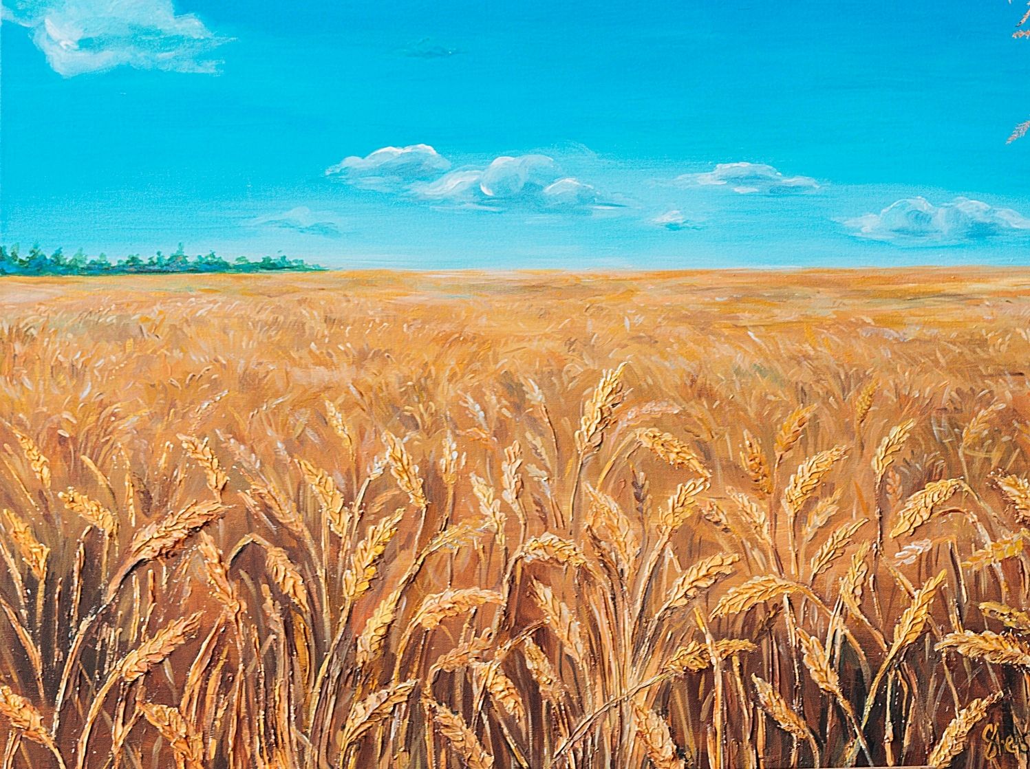 Поле ржи рисунок