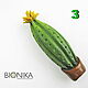 Cactus author's brooch made of polymer clay, brooch with cactus. Brooches. Bionika - Polymer Clay Jewelry (Bionika). My Livemaster. Фото №6