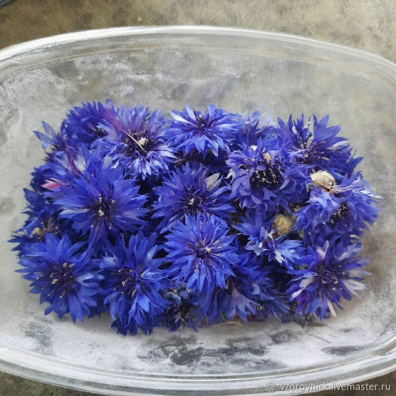 Васильки целые (объёмная сушка) – купить онлайн на Ярмарке Мастеров ...