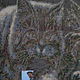 Картина "Ночной кот"  бисер. Картины. Дизайнерские украшения. Elenkokurin. Интернет-магазин Ярмарка Мастеров.  Фото №2