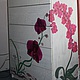 Фото без фурнитуры