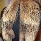 Raccoon fur collar, Boa, Moscow,  Фото №1
