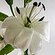 Заказать Лилия из полимерной глины. Мария Голубцова (Top-Flower). Ярмарка Мастеров. . Растения Фото №3