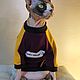 Clothing for cats Jacket 'Cool!', Pet clothes, Biisk,  Фото №1
